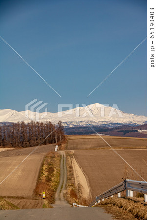 春の畑と雪山 大雪山 春の畑と雪山 大雪山 65190403