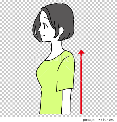 姿勢 女性のイラスト素材 姿勢 女性のイラスト素材