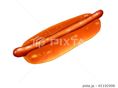 ホットドッグ プレーン ウィンナーのみ のイラスト素材