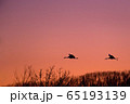 夕焼け空を飛ぶツルのシルエット 65193139