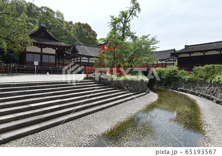 下鴨神社　御手洗川 65193567