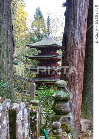 室生寺五重塔 室生寺五重塔 65193750