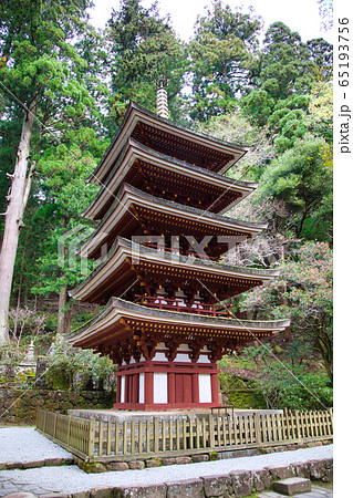 室生寺五重塔 65193756