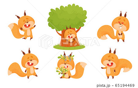 Cute Squirrel Character Doing Different Activities Vector Set 65194469