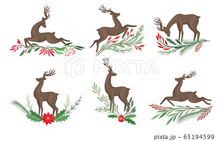 Brown Deer with Antlers and Winter Twigs and Flower Composition Beneath It Vector Set 65194599