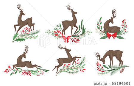 Brown Deer with Antlers and Winter Twigs and Flower Composition Beneath It Vector Set 65194601