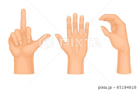 Hands Making Different Gestures and Signs Isolated on White Background Vector Set Hands Making Different Gestures and Signs Isolated on White Background Vector Set 65194616