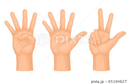 Hands Making Different Gestures and Signs Isolated on White Background Vector Set Hands Making Different Gestures and Signs Isolated on White Background Vector Set 65194627