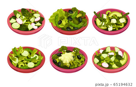 Bowl of Salad with Juicy Greenery and Oil Dressing Vector Set Bowl of Salad with Juicy Greenery and Oil Dressing Vector Set 65194632