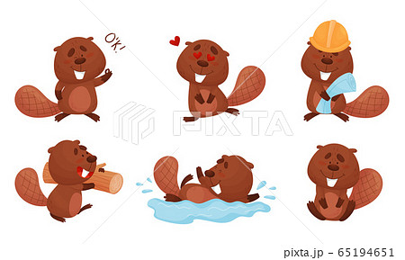 Cute Beaver Character Engaged in Different Activity Vector Set 65194651