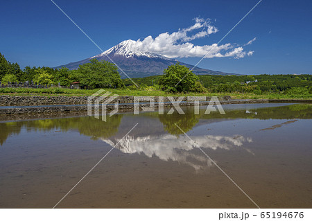 田んぼ 富士山 田んぼ 富士山 65194676