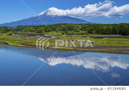 田んぼ 富士山 田んぼ 富士山 65194680