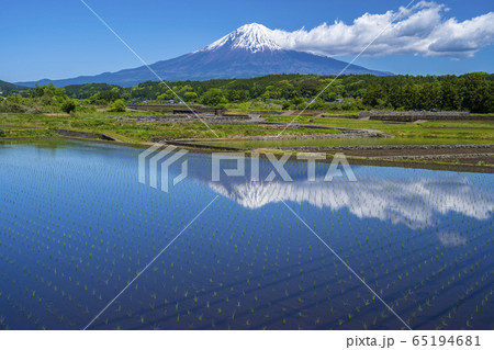 田んぼ　富士山 65194681