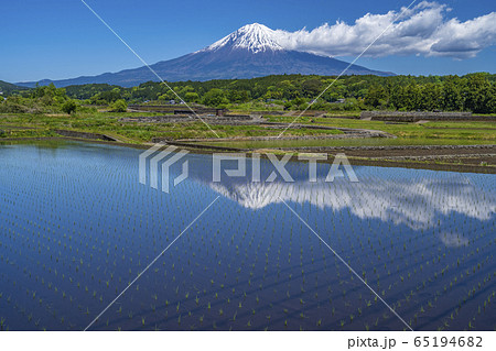 田んぼ 富士山 田んぼ 富士山 65194682