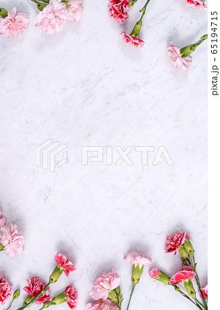 カーネーション ハマナデシコ 背景 65194715