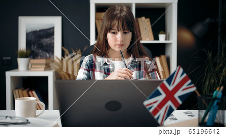 Teenage girl studying at computer 65196642