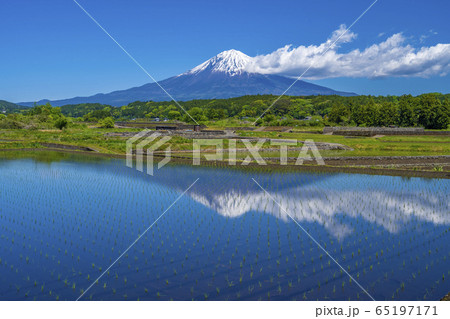 田んぼ　富士山 逆さ富士 65197171