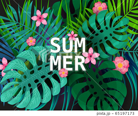 Summer tropical leaves exotical plants palm jungle leaf. Trending colors on dark background template banner. Vector illustration isolated Summer tropical leaves exotical plants palm jungle leaf. Trending colors on dark background template banner. Vector illustration isolated 65197173