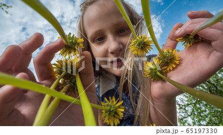 Portrait of a child admiring blowers in a meadow. Low angle shot 65197330