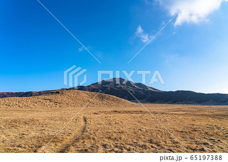 草千里ヶ浜 阿蘇くじゅう国立公園 一月 冬枯れ 草千里ヶ浜 阿蘇くじゅう国立公園 一月 冬枯れ 65197388
