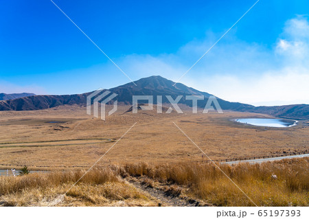 草千里ヶ浜　阿蘇くじゅう国立公園　一月　冬枯れ 65197393
