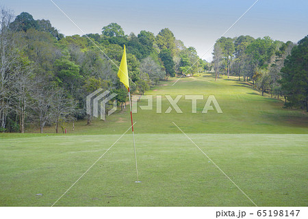 Beautiful golf course in a sunny day. Beautiful golf course in a sunny day. 65198147