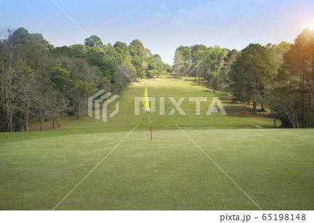 Beautiful golf course in a sunny day. 65198148