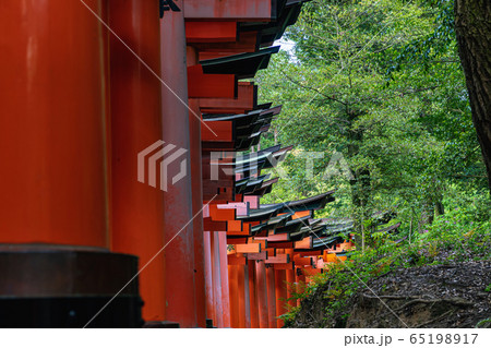 京都 伏見稲荷大社の風景 京都 伏見稲荷大社の風景 65198917