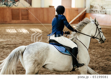 close up horsewoman a horse 65199081