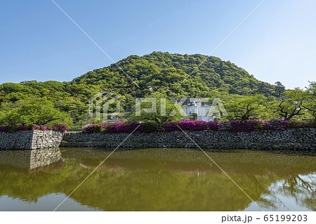 鳥取城跡 65199203