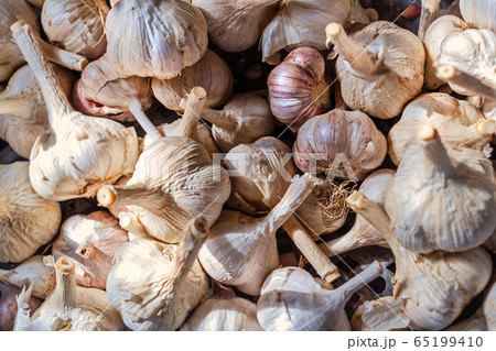 Dry garlic heads 65199410