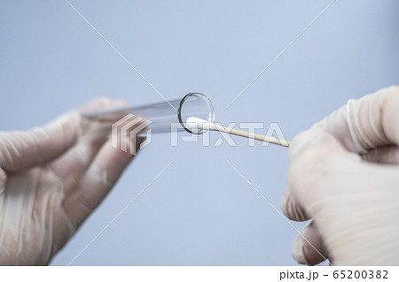 Glass test tube and cotton swab in the hands of a scientist. A virologist in rubber disposable gloves holds a laboratory flask and for analysis. He took a smear sample for a coronavirus test Glass test tube and cotton swab in the hands of a scientist. A virologist in rubber disposable gloves holds a laboratory flask and for analysis. He took a smear sample for a coronavirus test 65200382