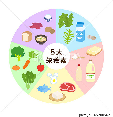 5大栄養素のタイトルが入った円形の図 5大栄養素のタイトルが入った円形の図 65200562