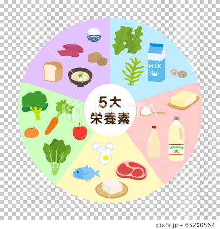 5大栄養素のタイトルが入った円形の図 5大栄養素のタイトルが入った円形の図 65200562