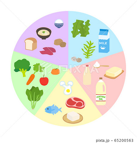 5大栄養素の円形の図 5大栄養素の円形の図 65200563