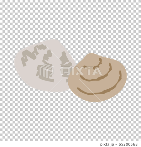 Simple vector illustration of clams Simple vector illustration of clams 65200568