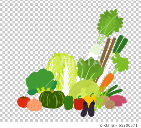Vector illustration with lots of vegetables 65200571