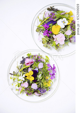 食用花のサラダ 食用花のサラダ 65200669