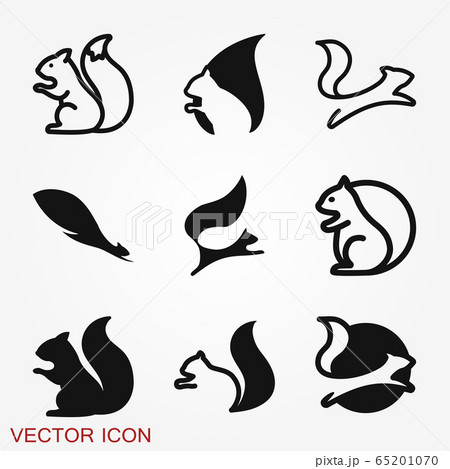 Squirrel vector icon isolated on a backgrounds. 65201070