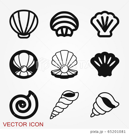 Shell icon, sea animal symbol isolated on 65201081