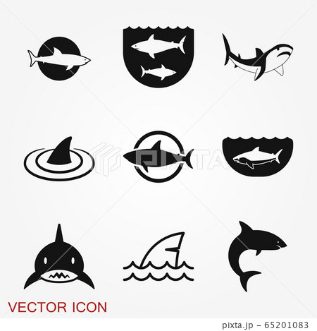 Shark icon. Sea and Ocean Animal symbol isolated 65201083