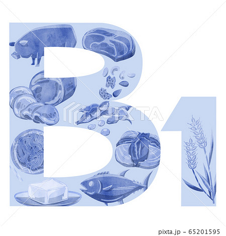 ビタミンb1が多い食品のイラスト素材