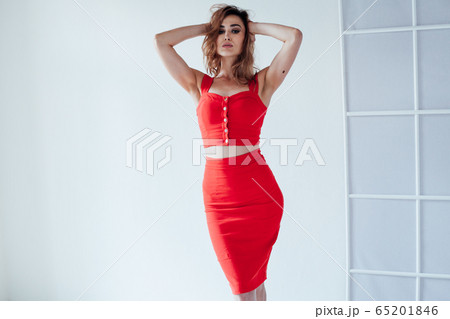 Portrait of a beautiful fashionable woman in red dress style clothing 65201846