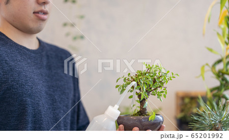 盆栽男子イメージ 65201992