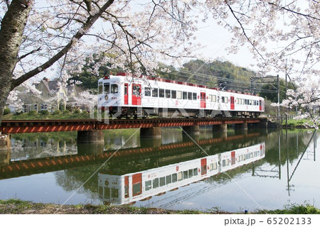 桜満開の貴志川線 65202133
