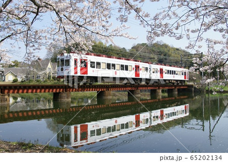 桜満開の貴志川線 65202134