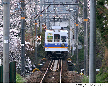 春の貴志川線 65202138