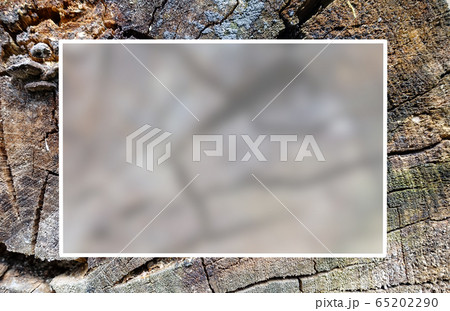 Texture of an old cracked tree. Sawn old log. Texture of an old cracked tree. Sawn old log. 65202290