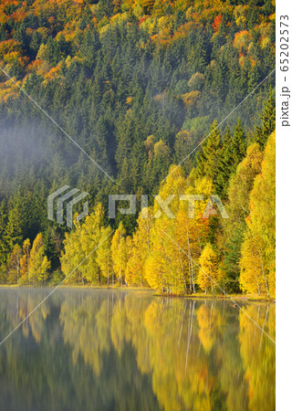 Autumn landscape in the mountains with trees Autumn landscape in the mountains with trees 65202573