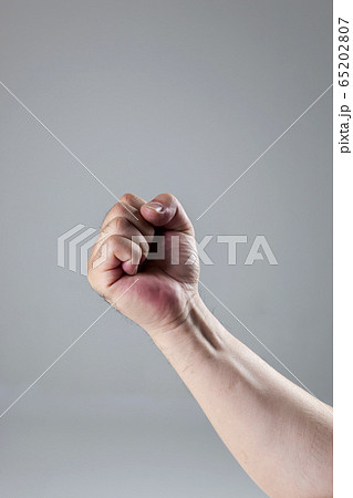拳 こぶし 指 65202807